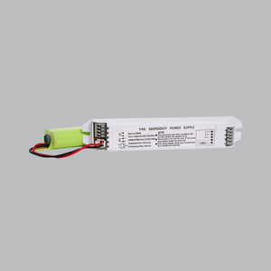 BỘ CHUYỂN ĐỔI KHẨN CẤP GIANINI-GA D50W